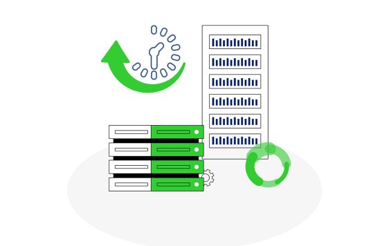 Website - server uptime monitoring